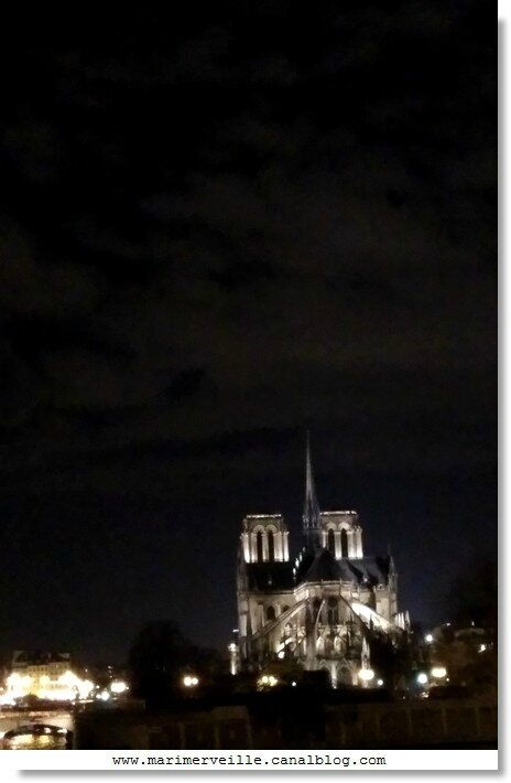 Notre Dame paris 2015 marimerveille