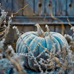 tumblr_latmrh2Dmr1qzn34eo1_500