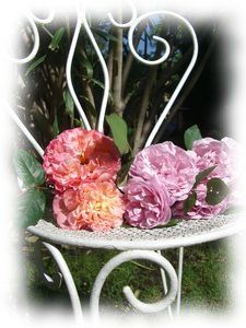 Tendre_maison7