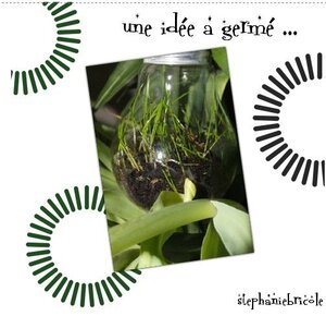 une idée a germé