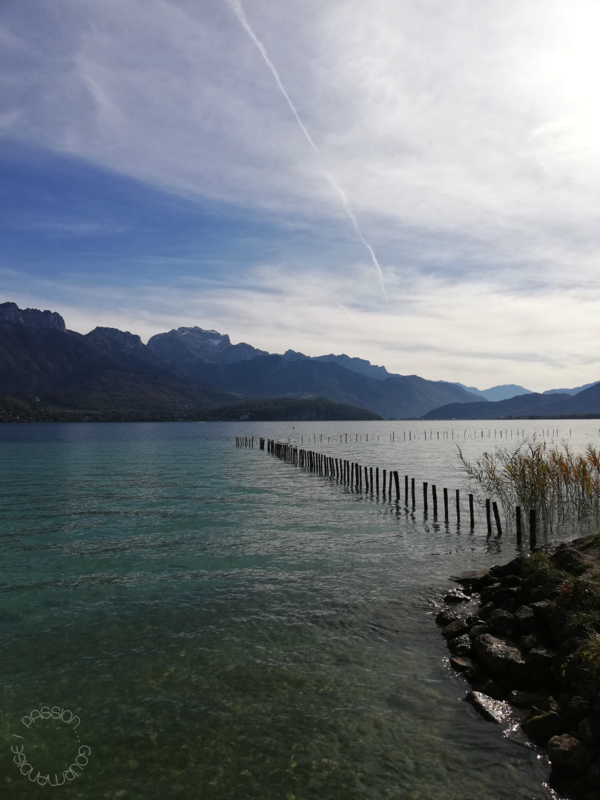 Annecy 2020_30