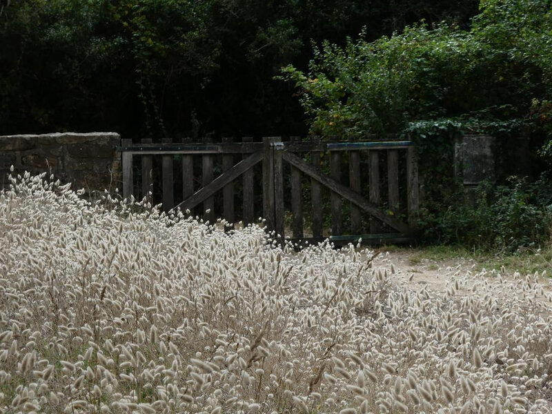 P1080231