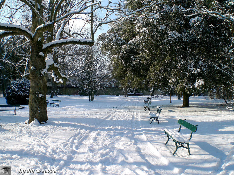 Bancs sous la neige au jardin botanique de Tours