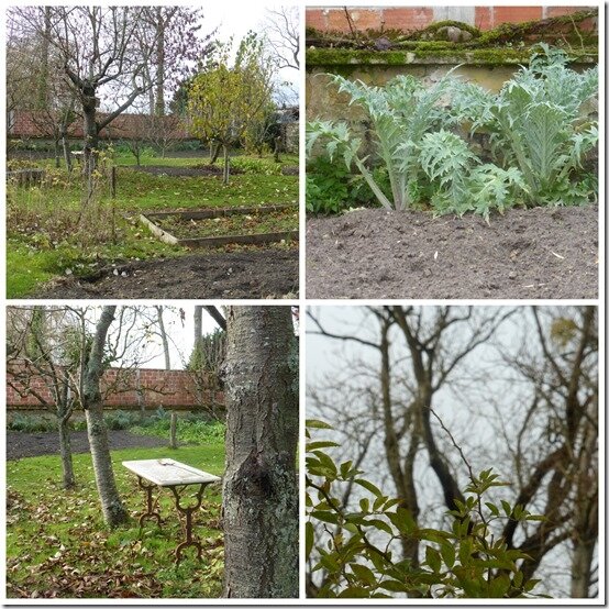 jardin 14 décembre 20205