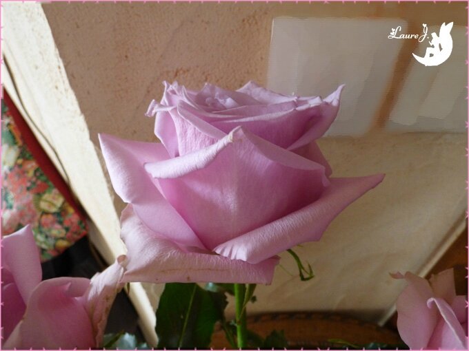 Bouquet Amour 11