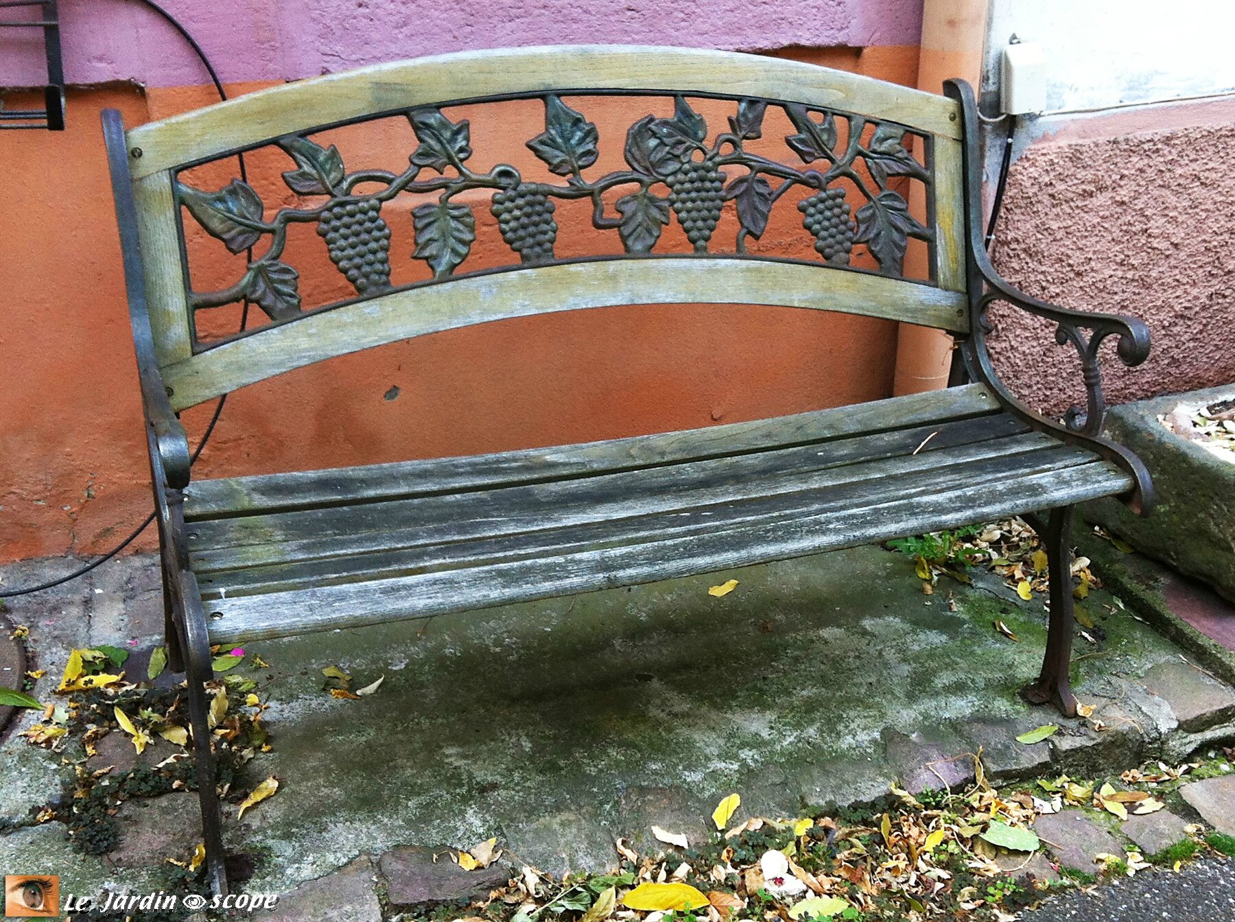 Banc décoré avec des grappes de raisins (Alsace)