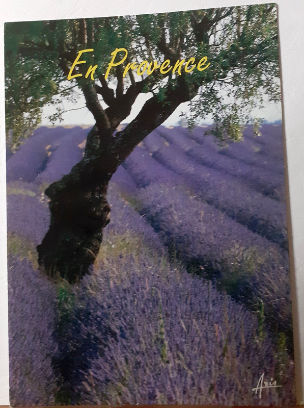 Provence - Champ de lavande - écrite