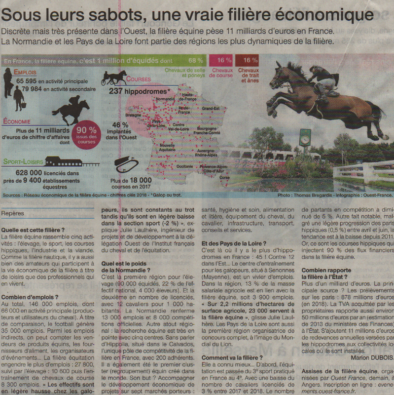 filièreéquine