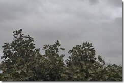 P1120298