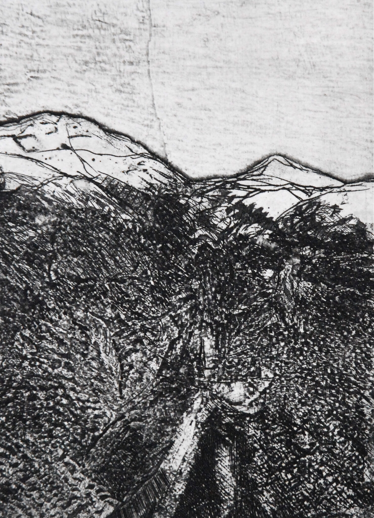 BG1_0111