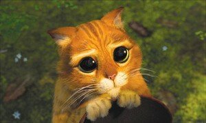 shrek_2_chat_potte