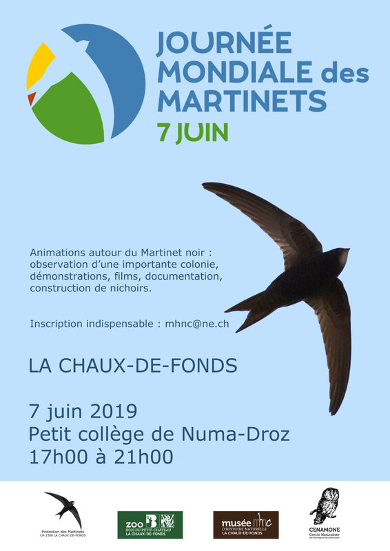 Affiche JMM_Marcel