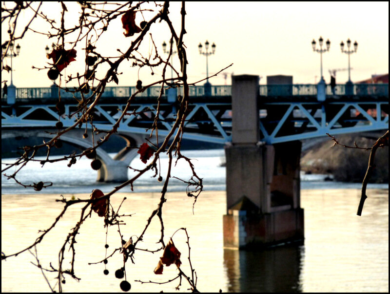 P1070197