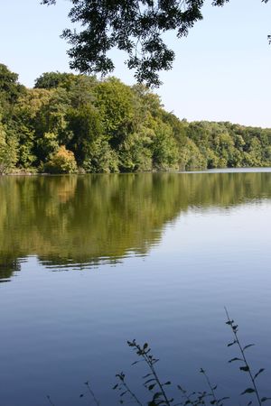 IMG_7312