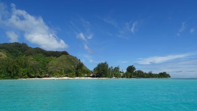 DSC06668