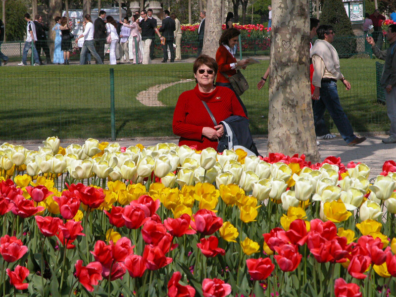 massif de tulipes au champ de mars (2)