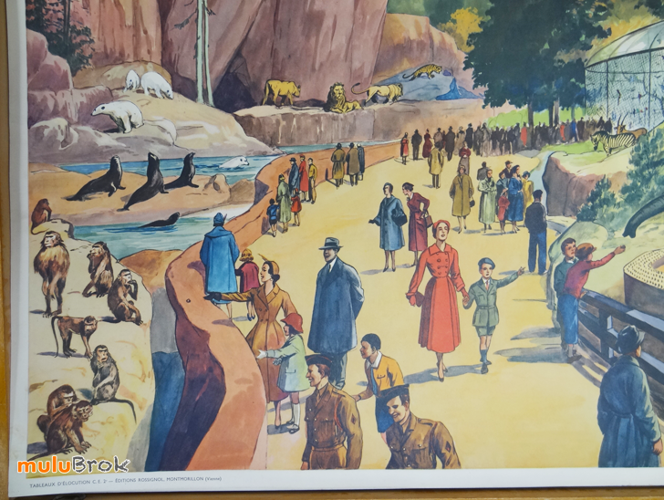 Affiche-LE-STADE-AU-ZOO-10-muluBrok