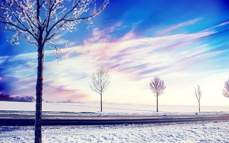 snow_winter_trees-wide