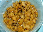 DSCF0046