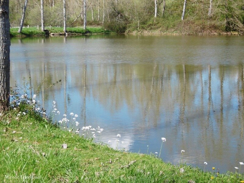 1-Etangs de la Marnière, de Vicq d'Auribat, de St Jean de Lier 280317