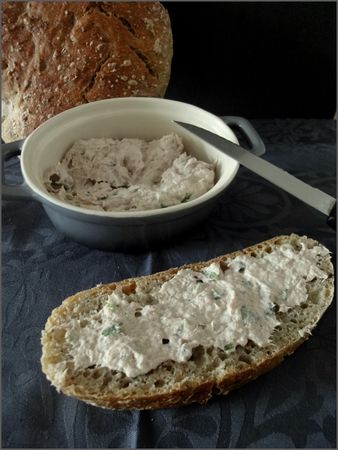 rillette_de_thon