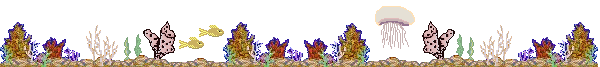 Barre_Mer