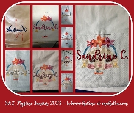 sandrine c_saljanv23_col3