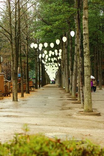 Nami island 1