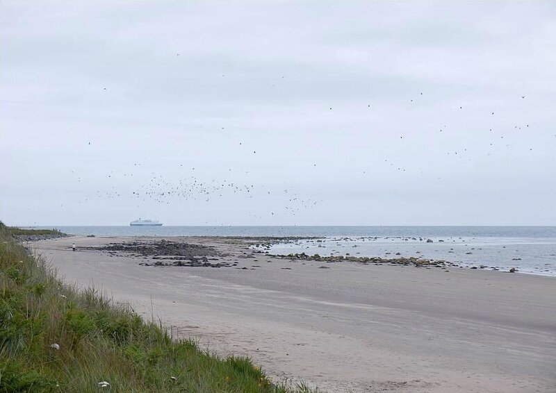 Ste Margaret's Beach (Rosslare)