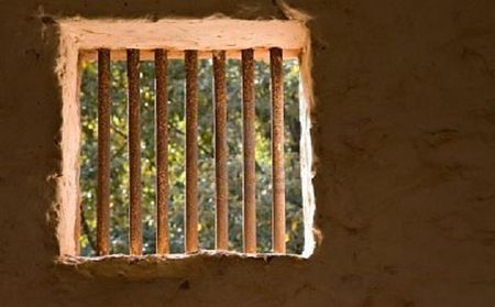 791912_prison_bars_avec_des_arbres_et_de_la_lumi_re_en_dehors_de