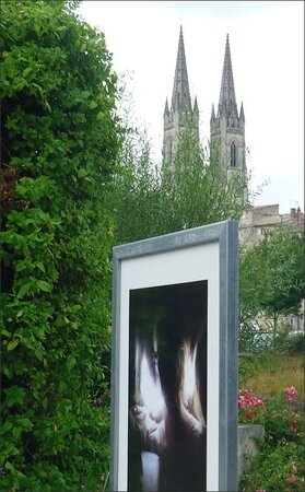 Expo plein air roses eglise