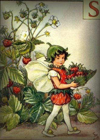 les fraises (1)