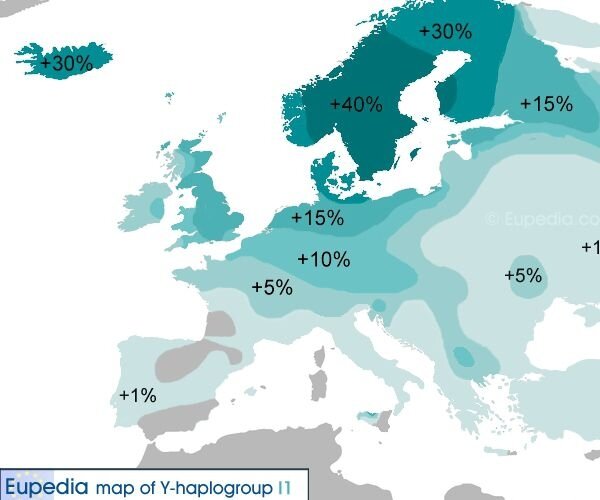 haplogroup i1 nordique