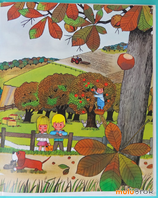 Petit-Tom-découvre-les-saisons-04
