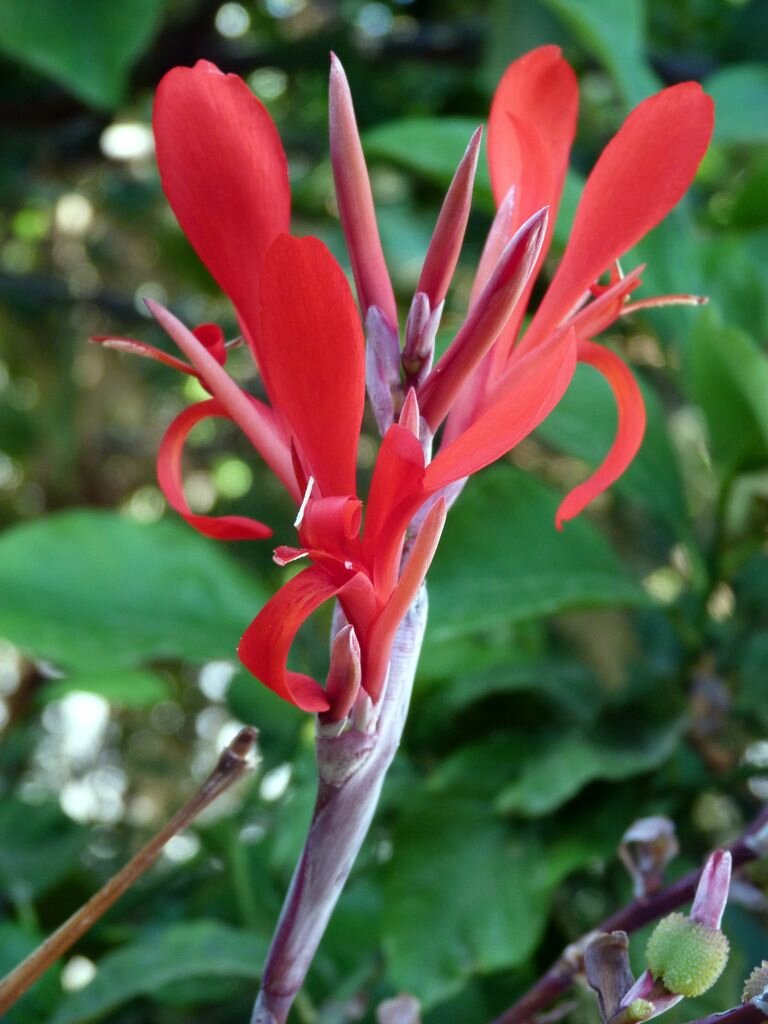 P1000988