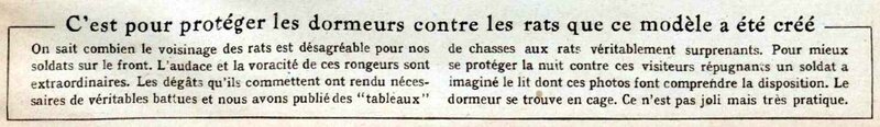 Dormeurs rats