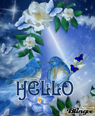 hello oiseaux bleus