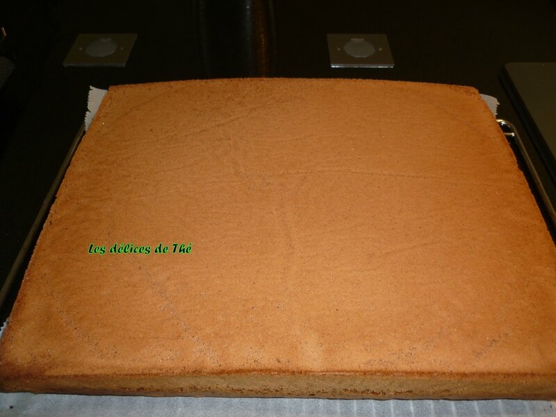 Gâteau génoise chocolat crème pat vanille avril 14 (16)