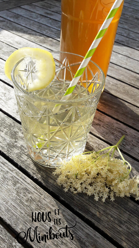 sirop sureau3