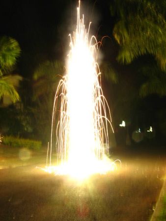 Diwali 2009 012