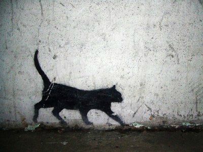 chat noir