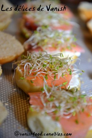 mini burger-graines germées-luzerne-saumon