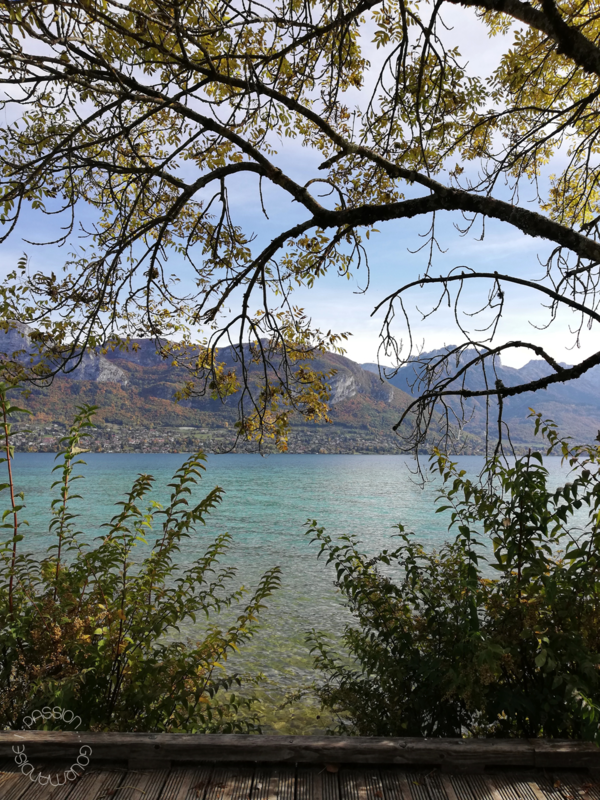Annecy 2020_27