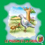 images (5)