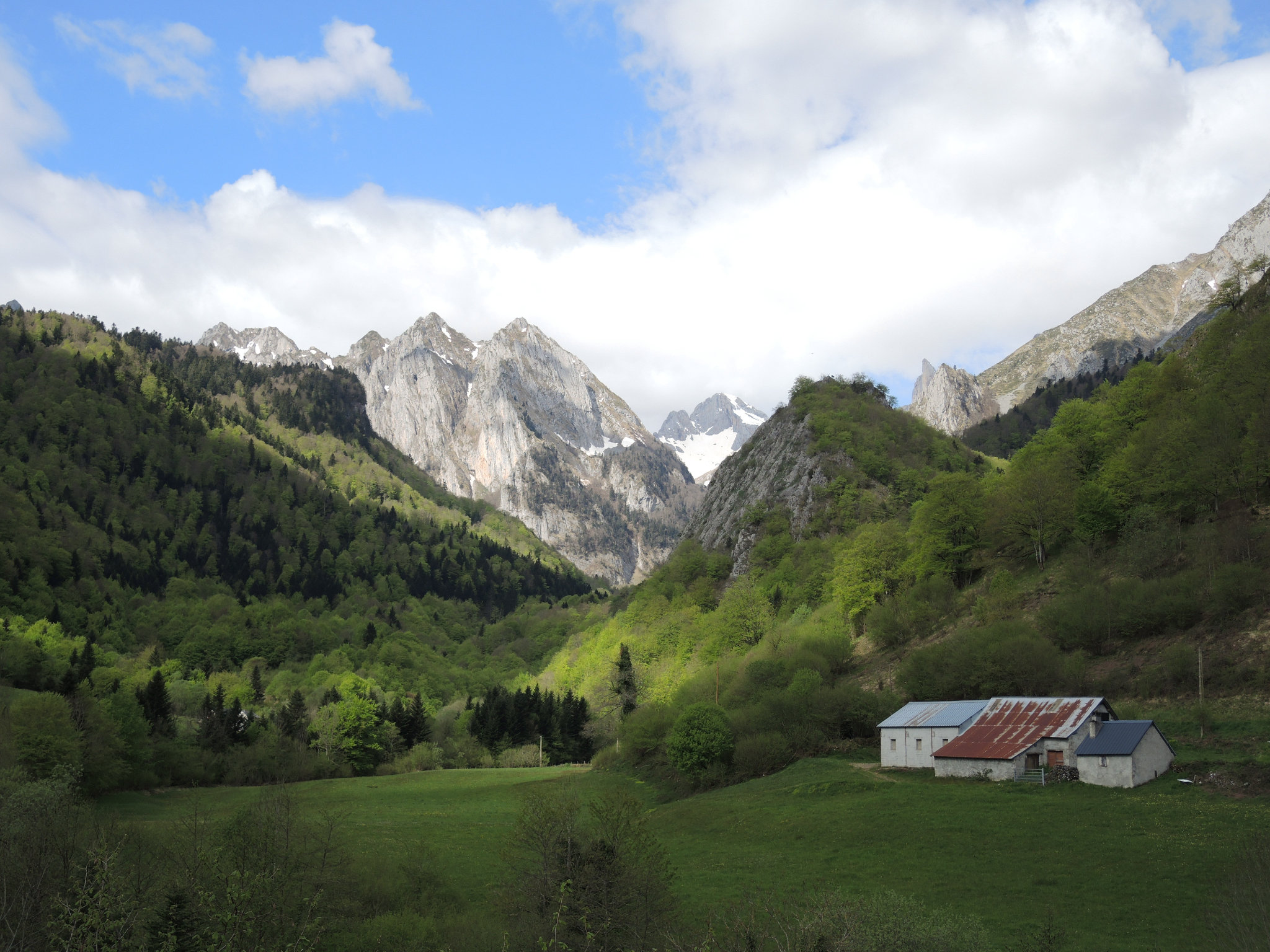 Lescun, au pied du cirque, matin (64)