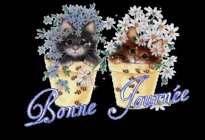 bjournee