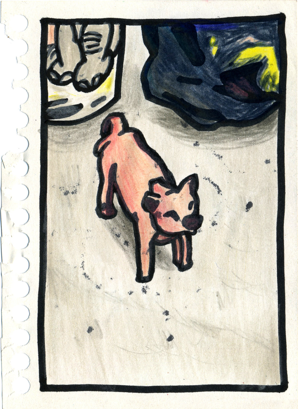26