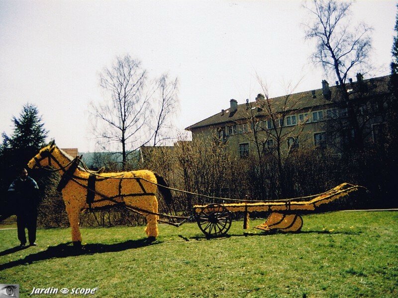 Gerardmer: la fête des Jonquilles 1996