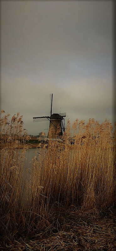 Kinderdijk