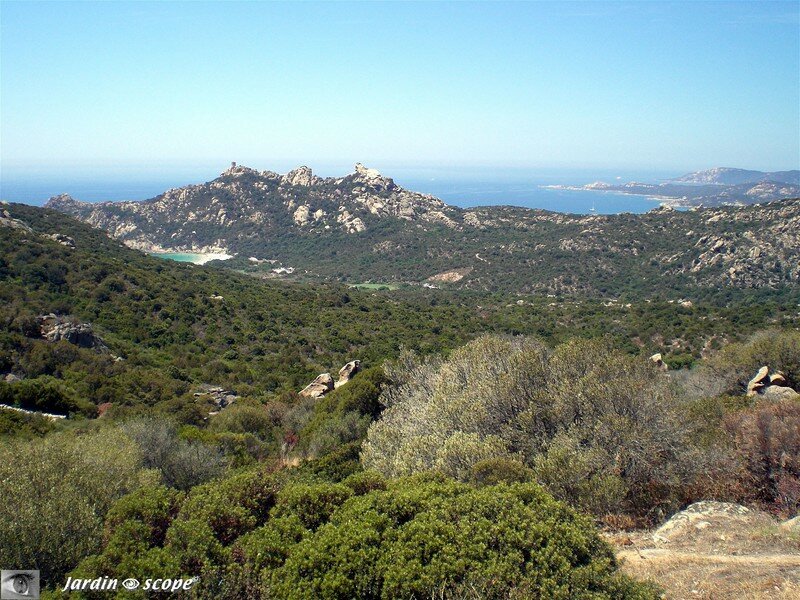 Roccapina - Vue générale